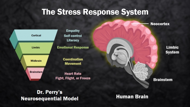 Trauma-Informed Care in Education Preview 1