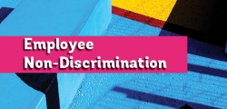 Employee Non-Discrimination in Schools