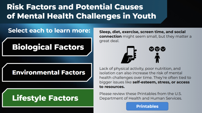 YMH 1: Youth Mental Health Challenges Preview 4