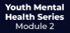 YMH 2 Crisis Response/Suicide Prevention