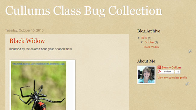 Blogger in the Classroom Preview 4